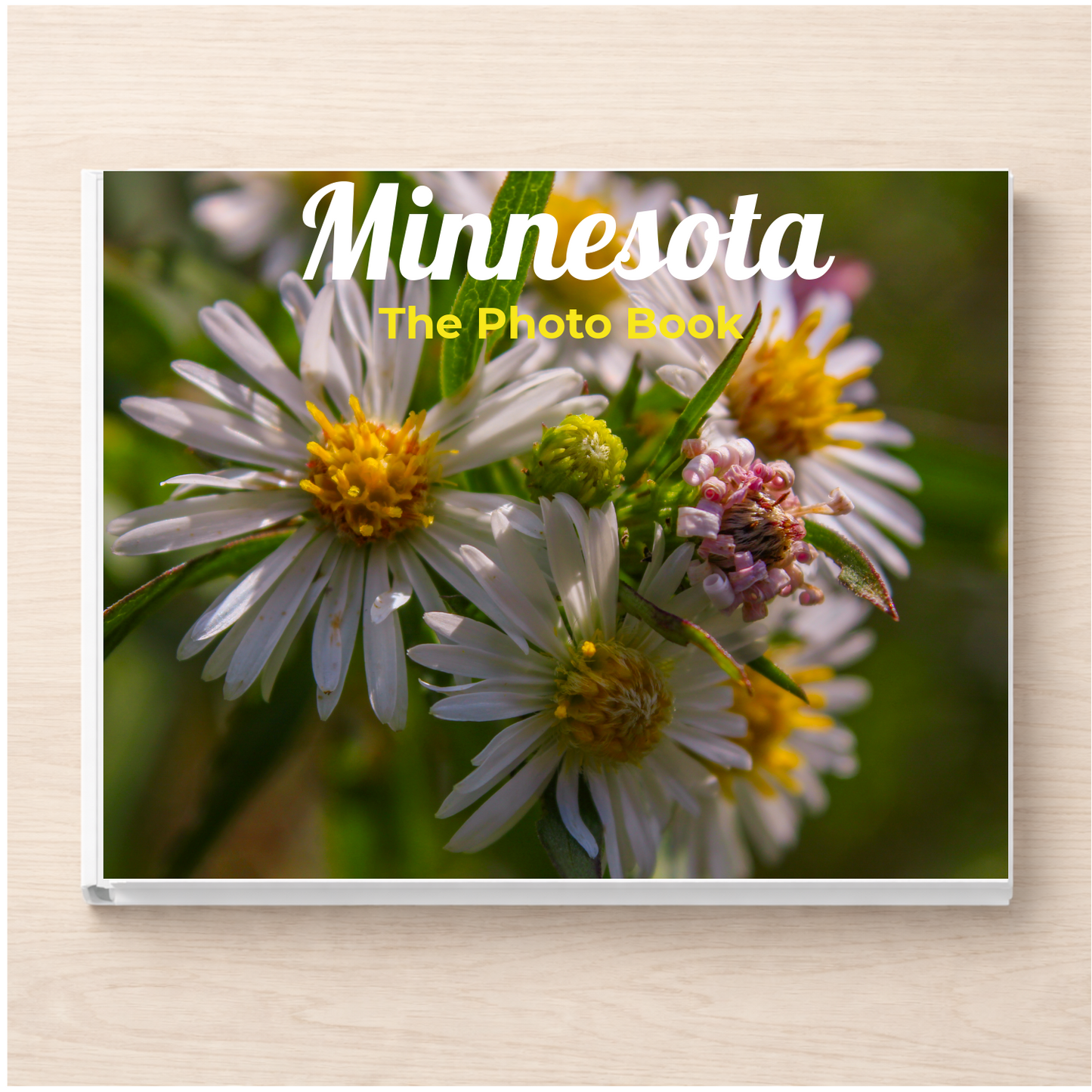 Minnesota: The Photo Book