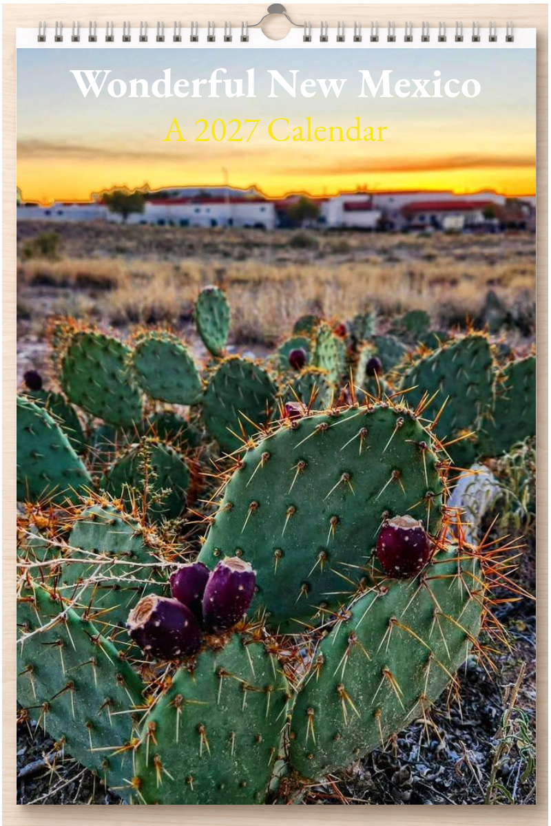 Wonderful New Mexico: A 2027 Calendar