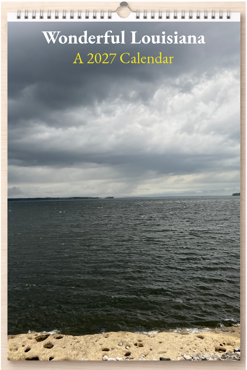 Wonderful Louisiana: A 2027 Calendar