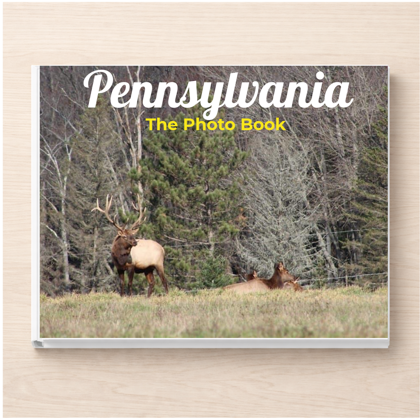 Pennsylvania: The Photo Book
