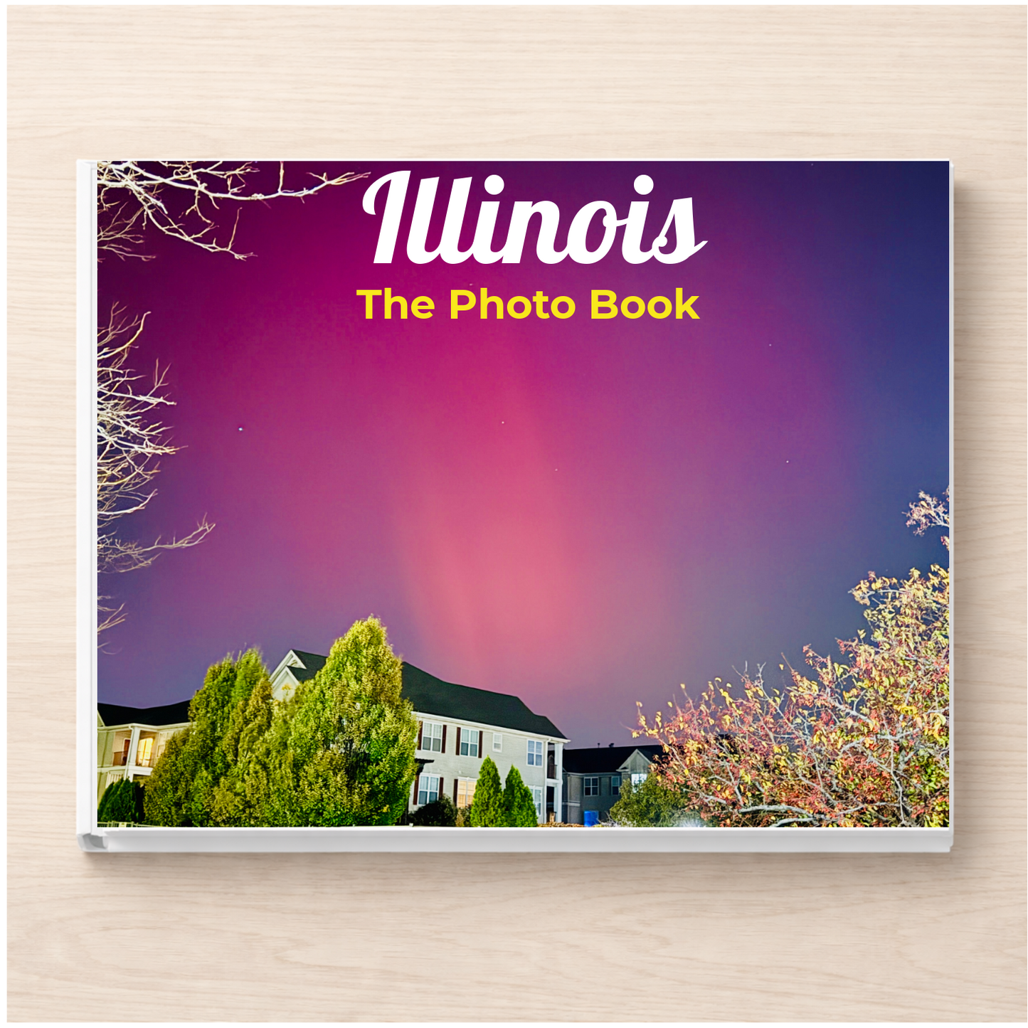 Illinois: The Photo Book