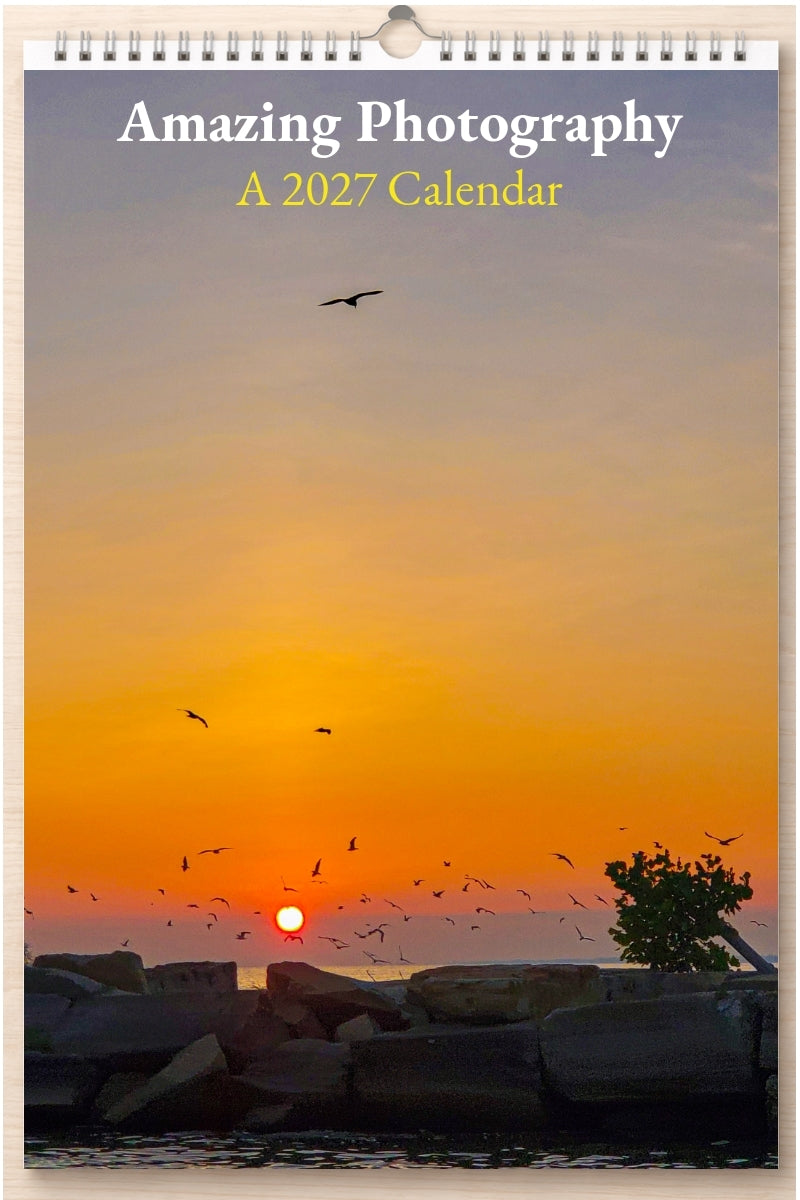 Amazing Photography: A 2027 Calendar