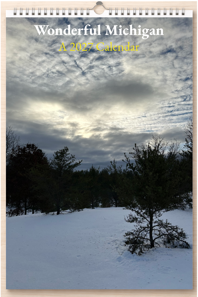 Wonderful Michigan: A 2027 Calendar