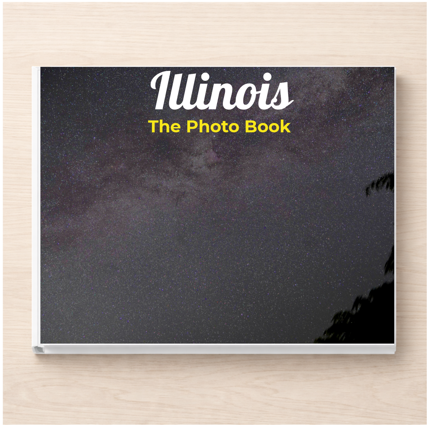 Illinois: The Photo Book