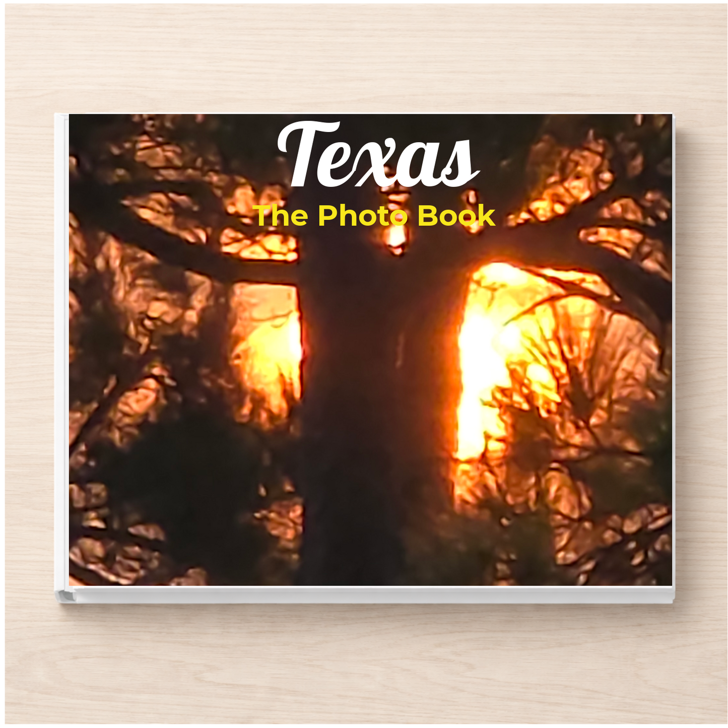 Texas: The Photo Book