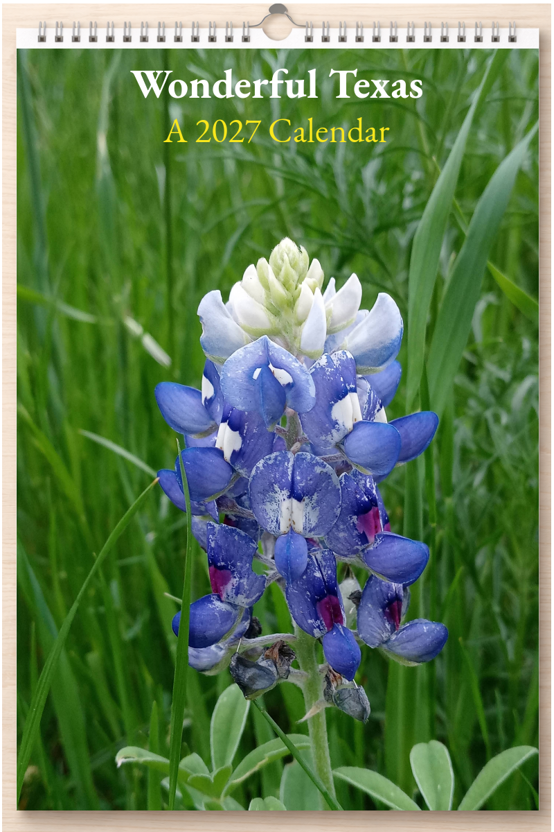 Wonderful Texas: A 2027 Calendar