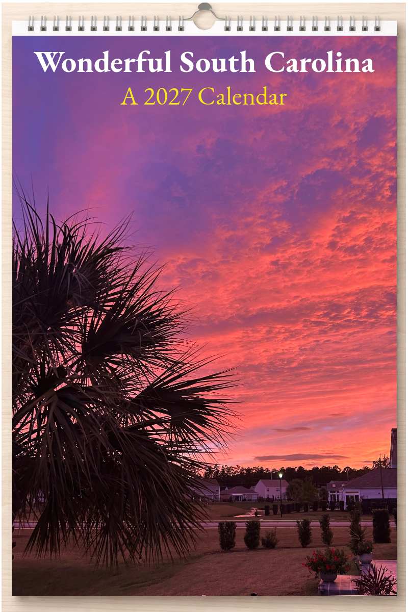 Wonderful South Carolina: A 2027 Calendar