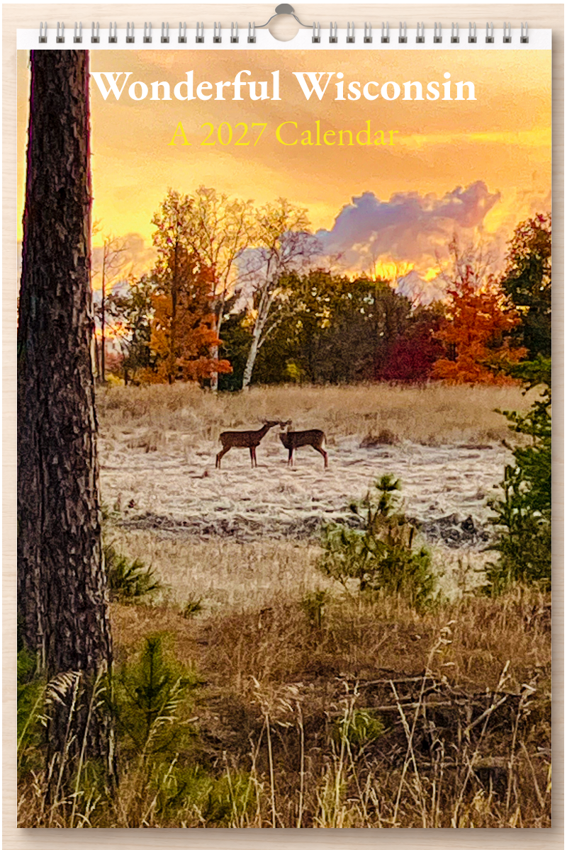 Wonderful Wisconsin: A 2027 Calendar