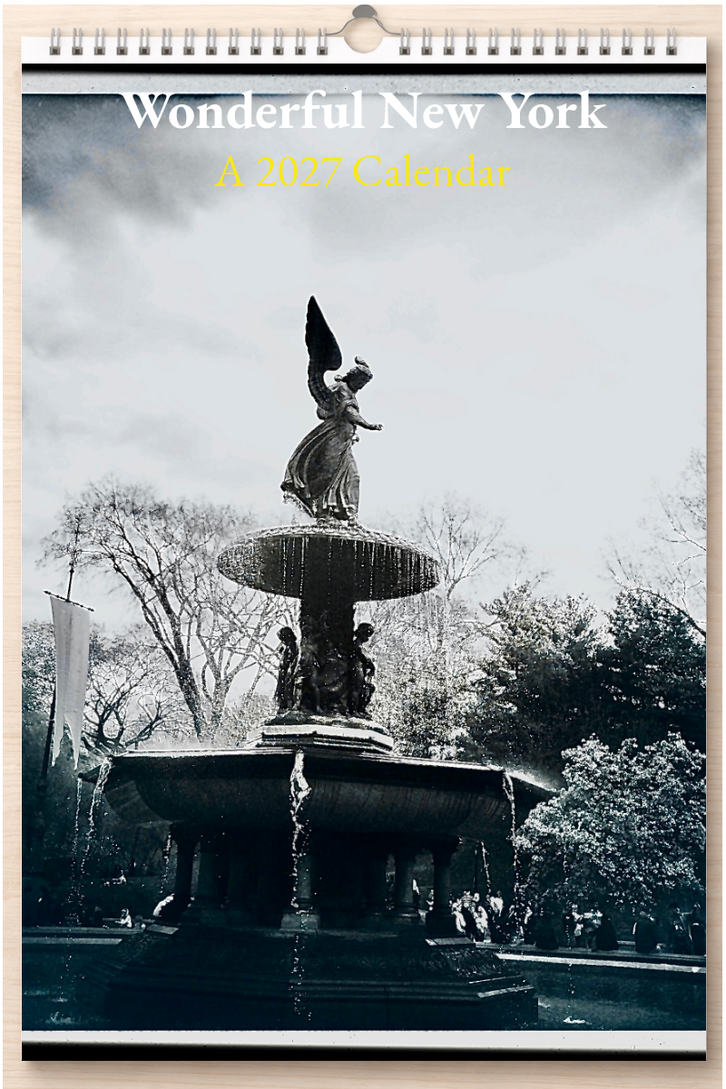 Wonderful New York: A 2027 Calendar
