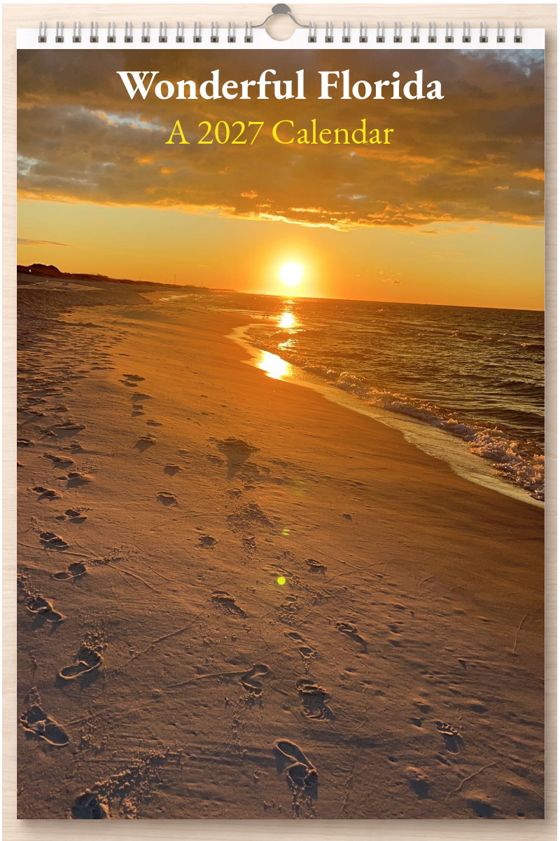 Wonderful Florida: A 2027 Calendar