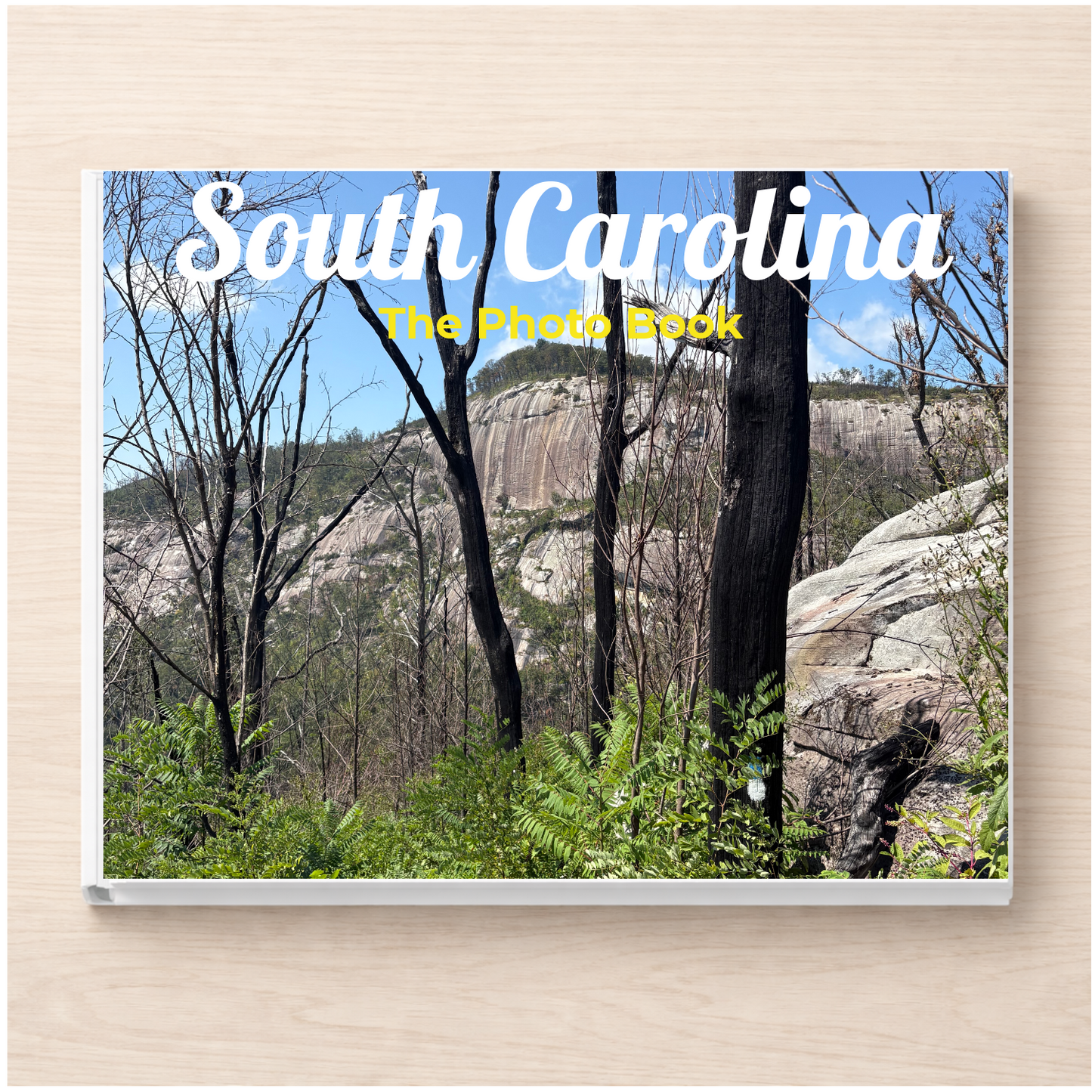 South Carolina: The Photo Book