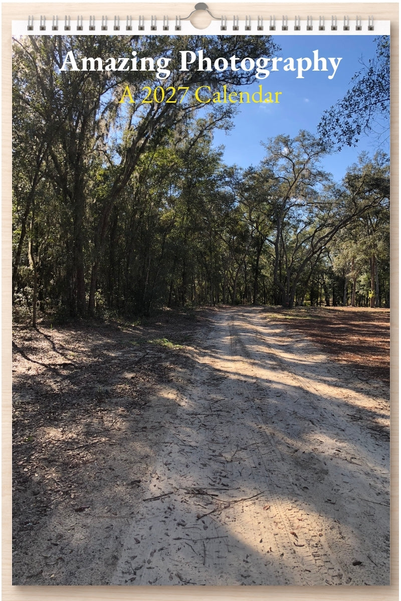 Amazing Photography: A 2027 Calendar
