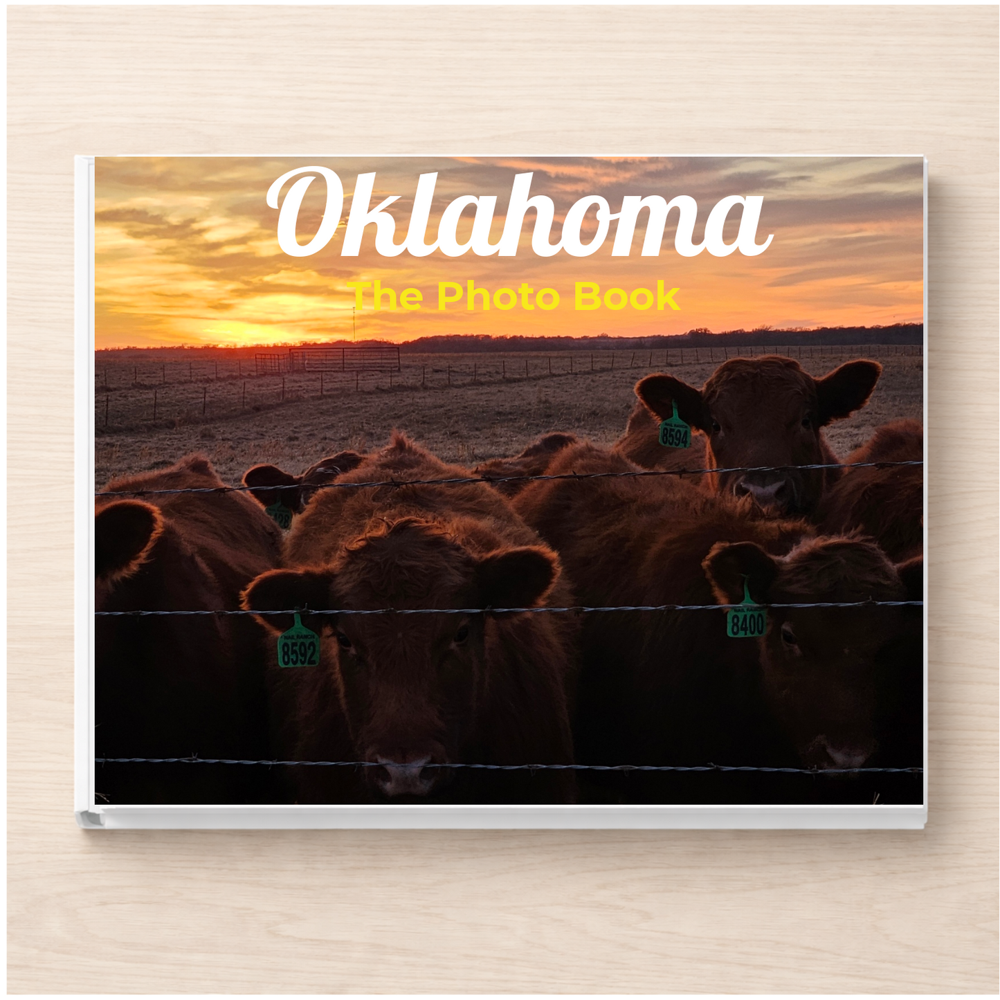Oklahoma: The Photo Book