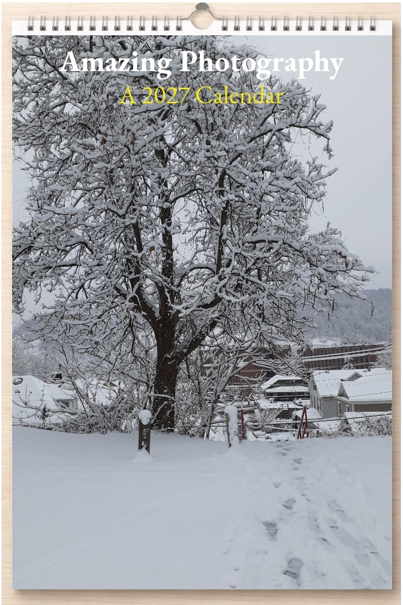 Amazing Photography: A 2027 Calendar