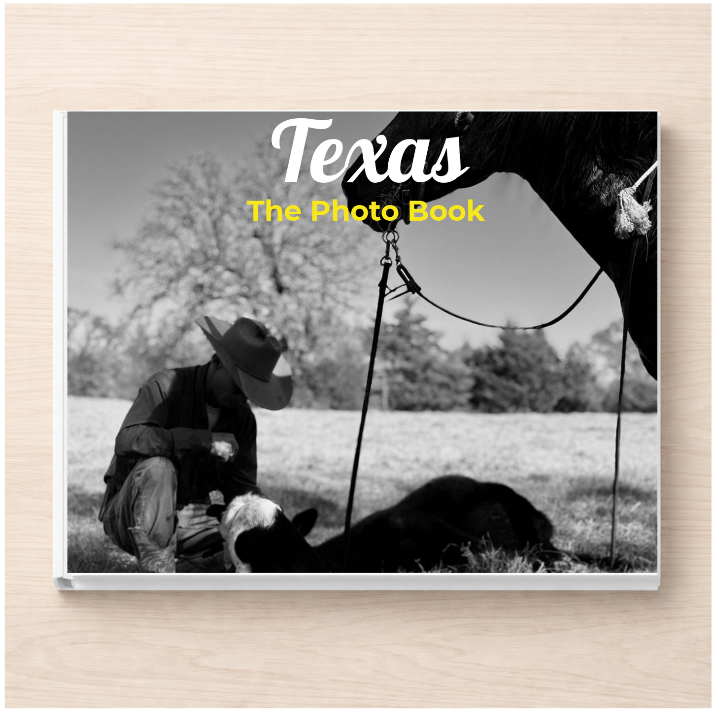 Texas: The Photo Book