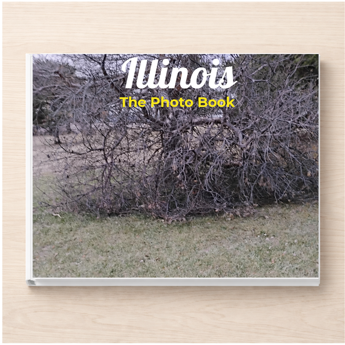 Illinois: The Photo Book