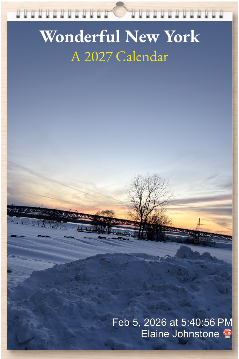 Wonderful New York: A 2027 Calendar