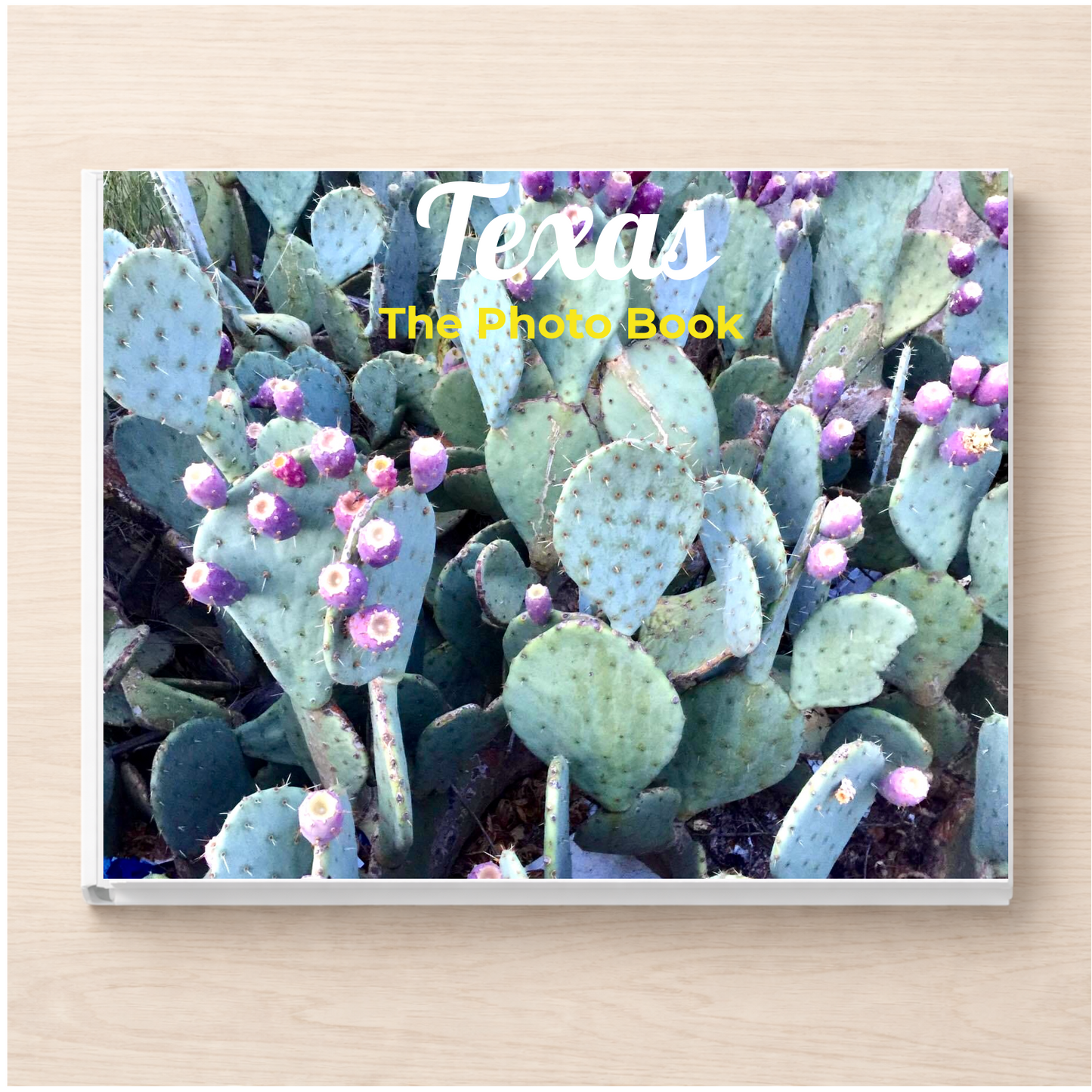 Texas: The Photo Book