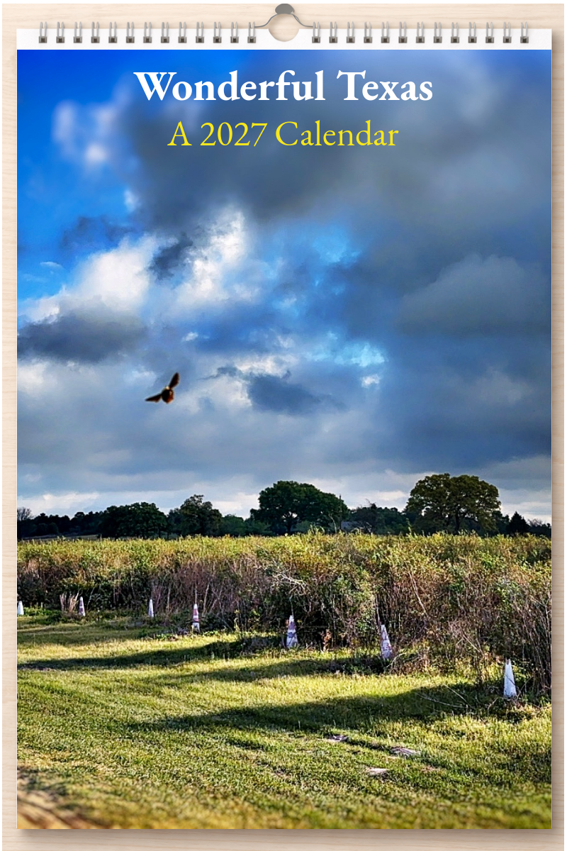 Wonderful Texas: A 2027 Calendar