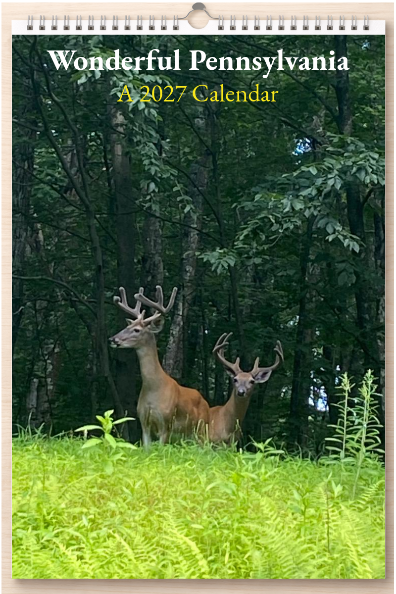 Wonderful Pennsylvania: A 2027 Calendar