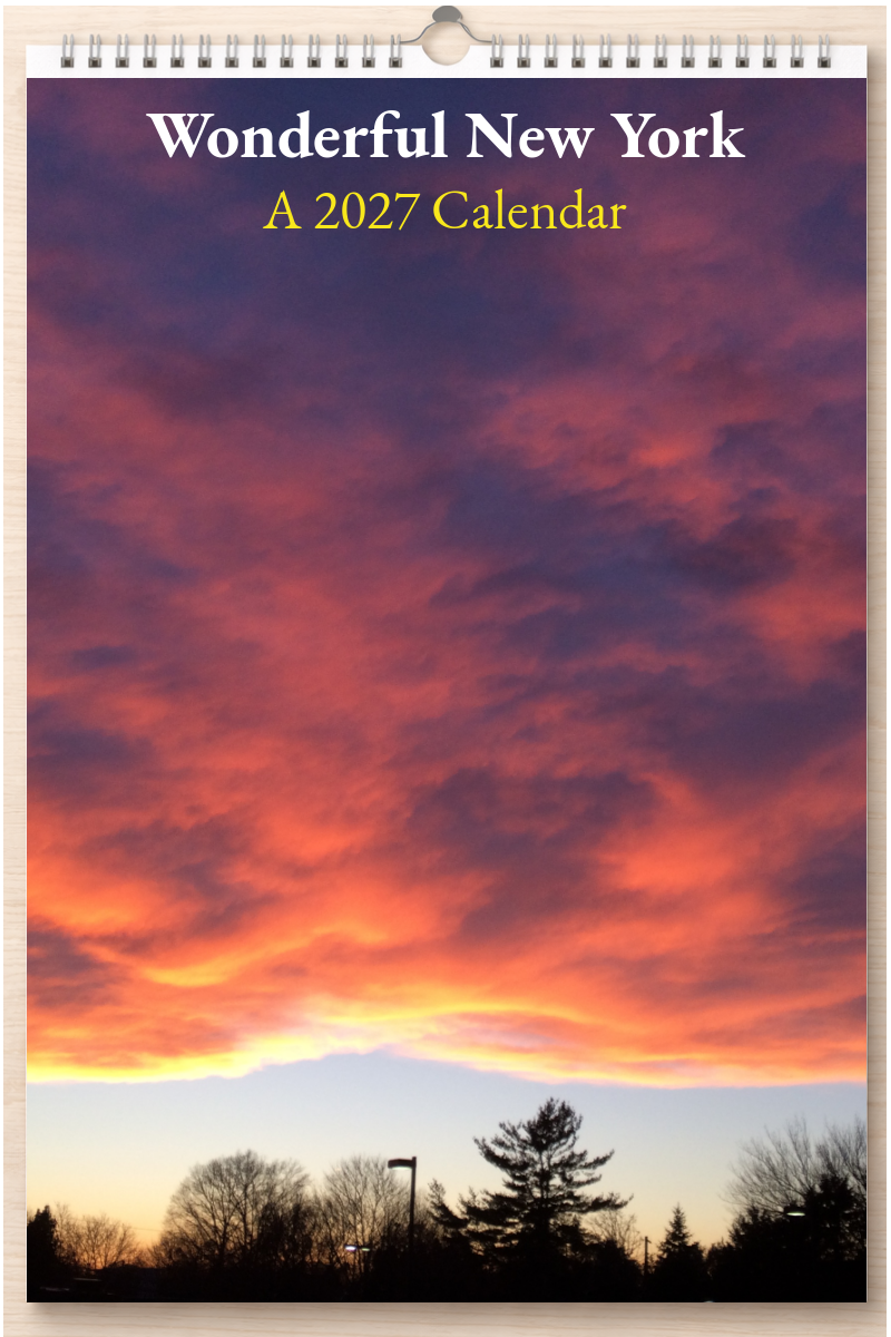Wonderful New York: A 2027 Calendar