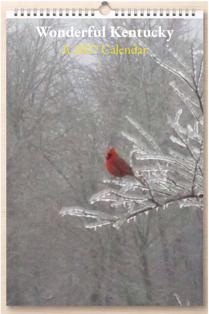 Wonderful Kentucky: A 2027 Calendar