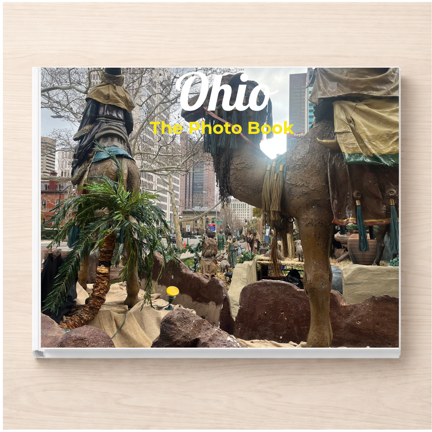 Ohio: The Photo Book