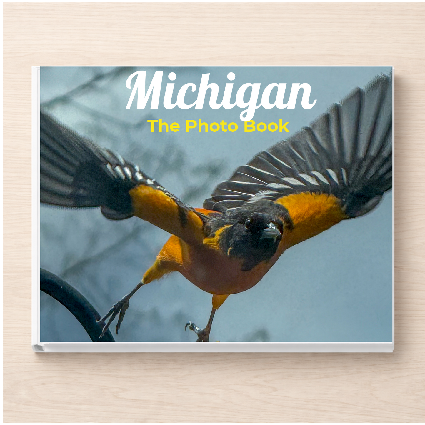 Michigan: The Photo Book