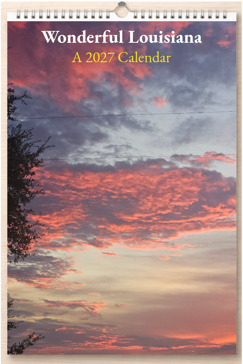 Wonderful Louisiana: A 2027 Calendar
