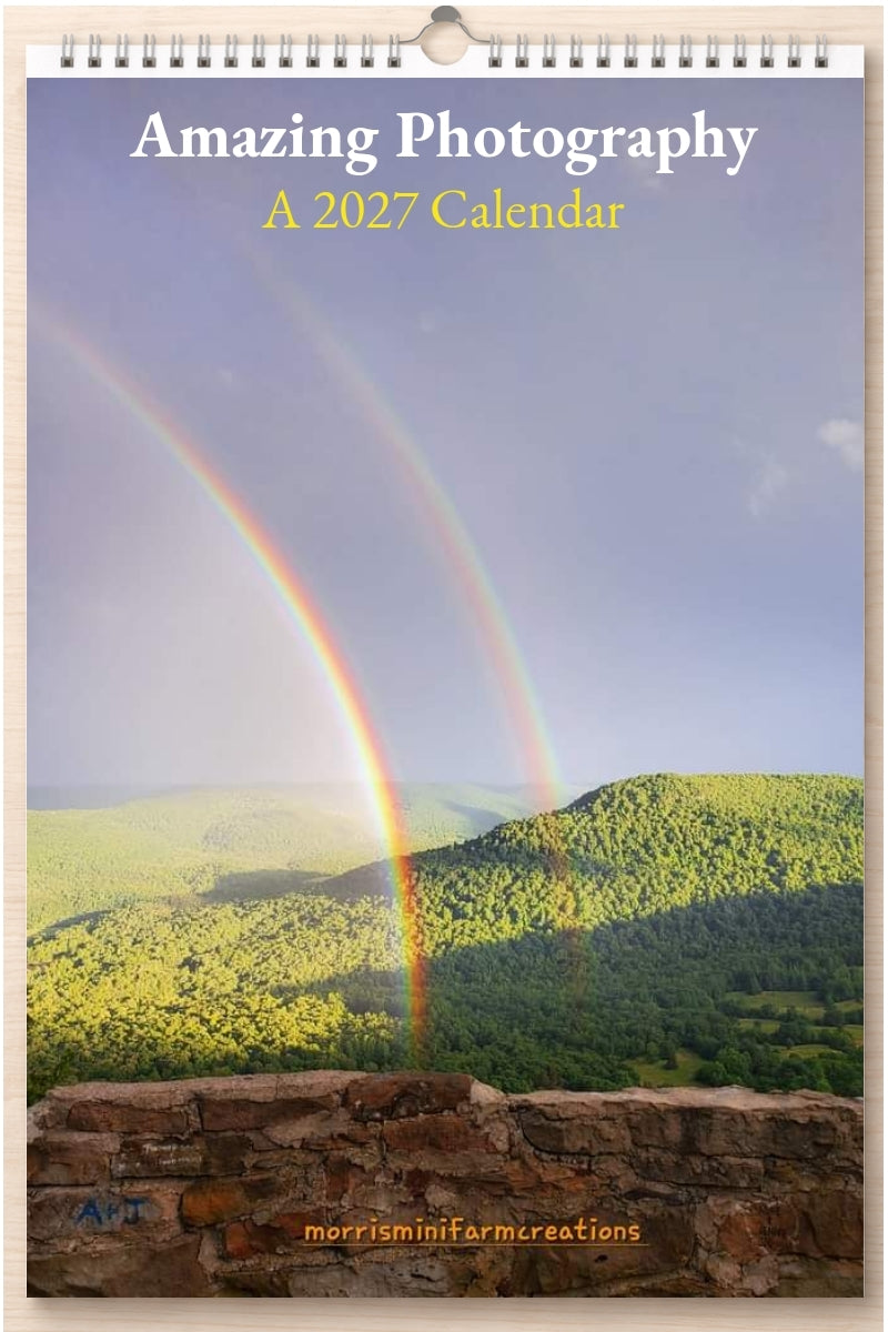 Amazing Photography: A 2027 Calendar