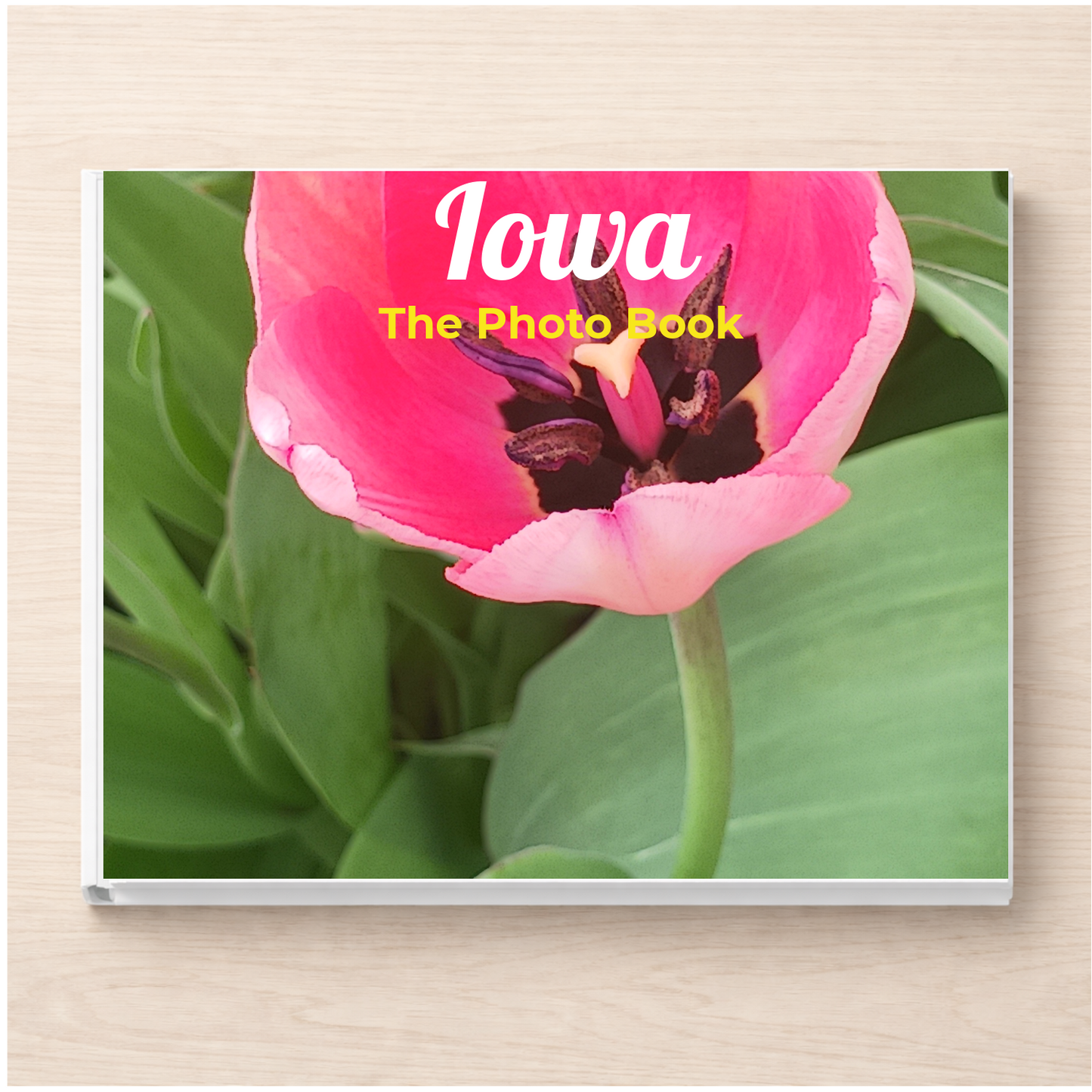 Iowa: The Photo Book