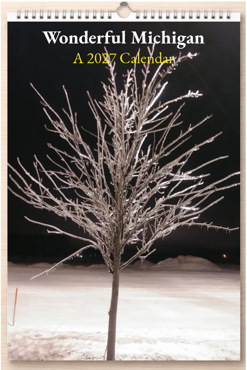 Wonderful Michigan: A 2027 Calendar