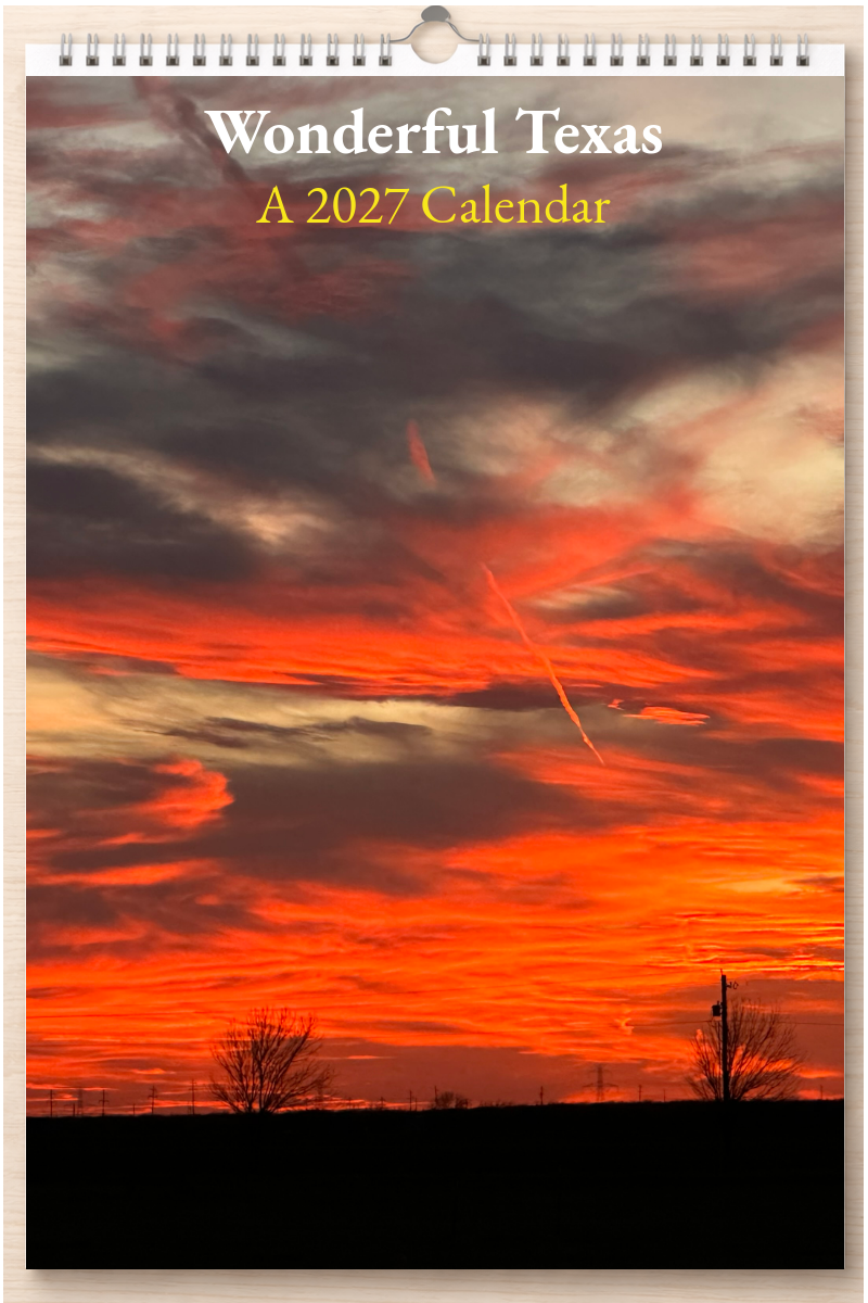 Wonderful Texas: A 2027 Calendar