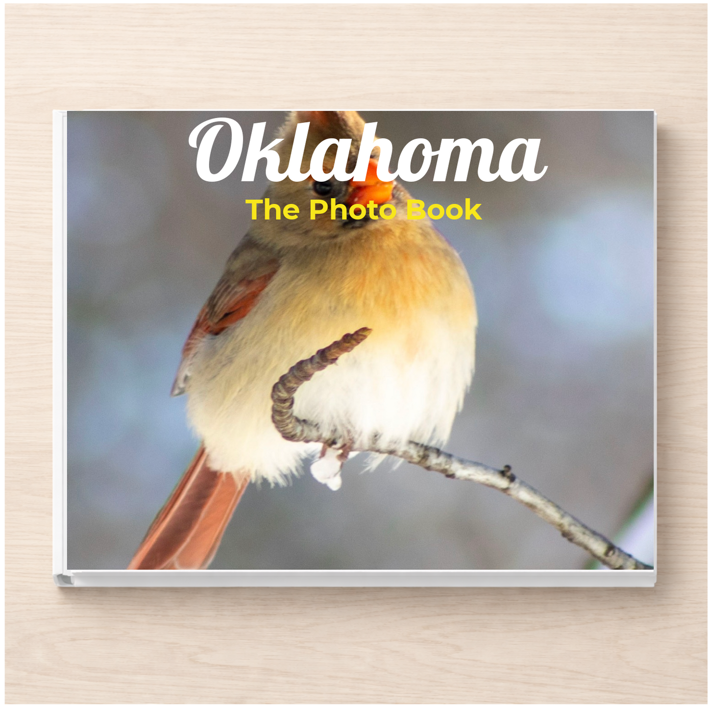Oklahoma: The Photo Book