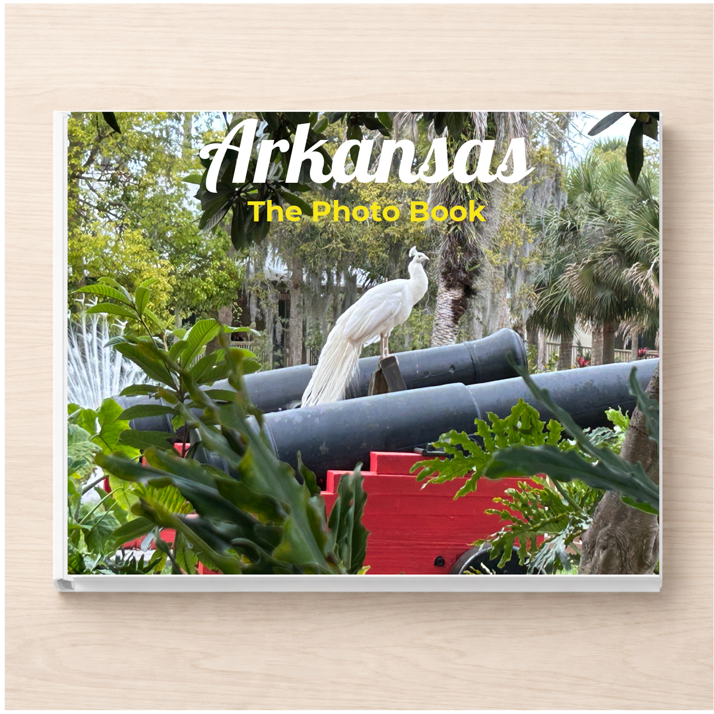 Arkansas: The Photo Book