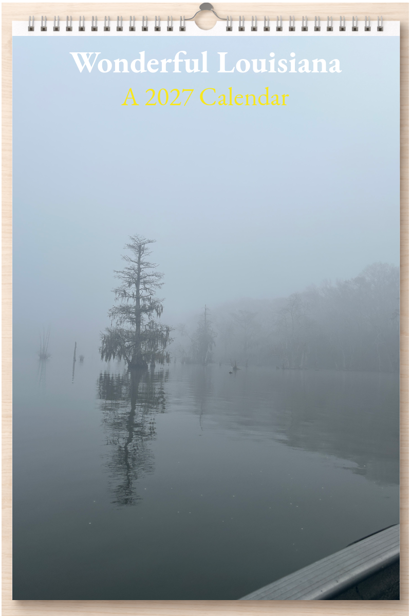 Wonderful Louisiana: A 2027 Calendar