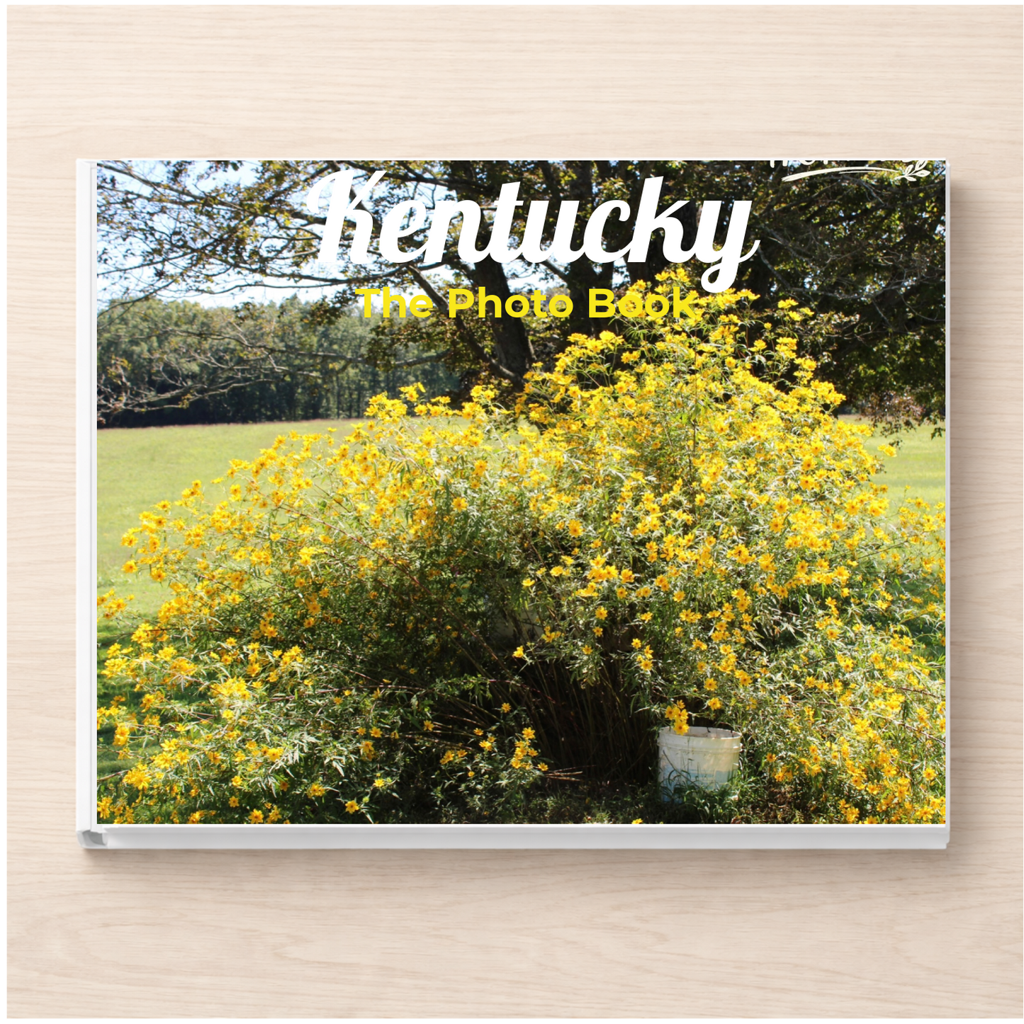 Kentucky: The Photo Book