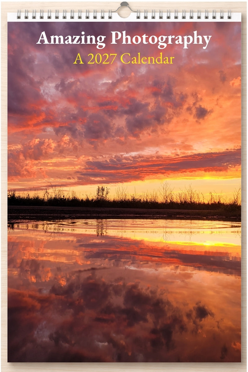 Amazing Photography: A 2027 Calendar