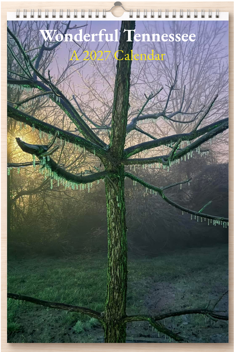 Wonderful Tennessee: A 2027 Calendar