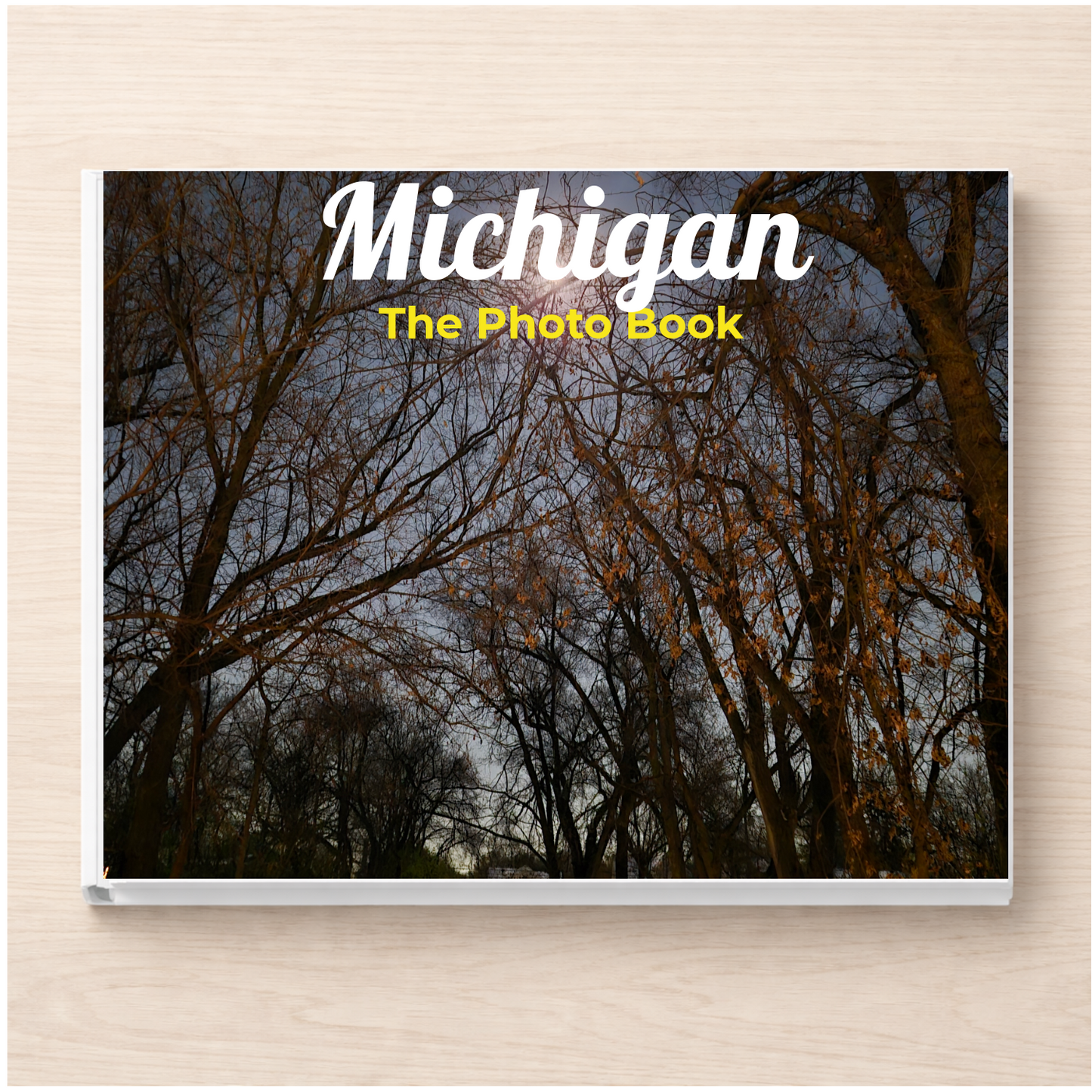 Michigan: The Photo Book