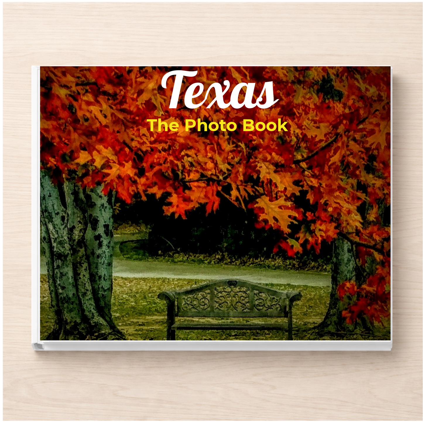 Texas: The Photo Book