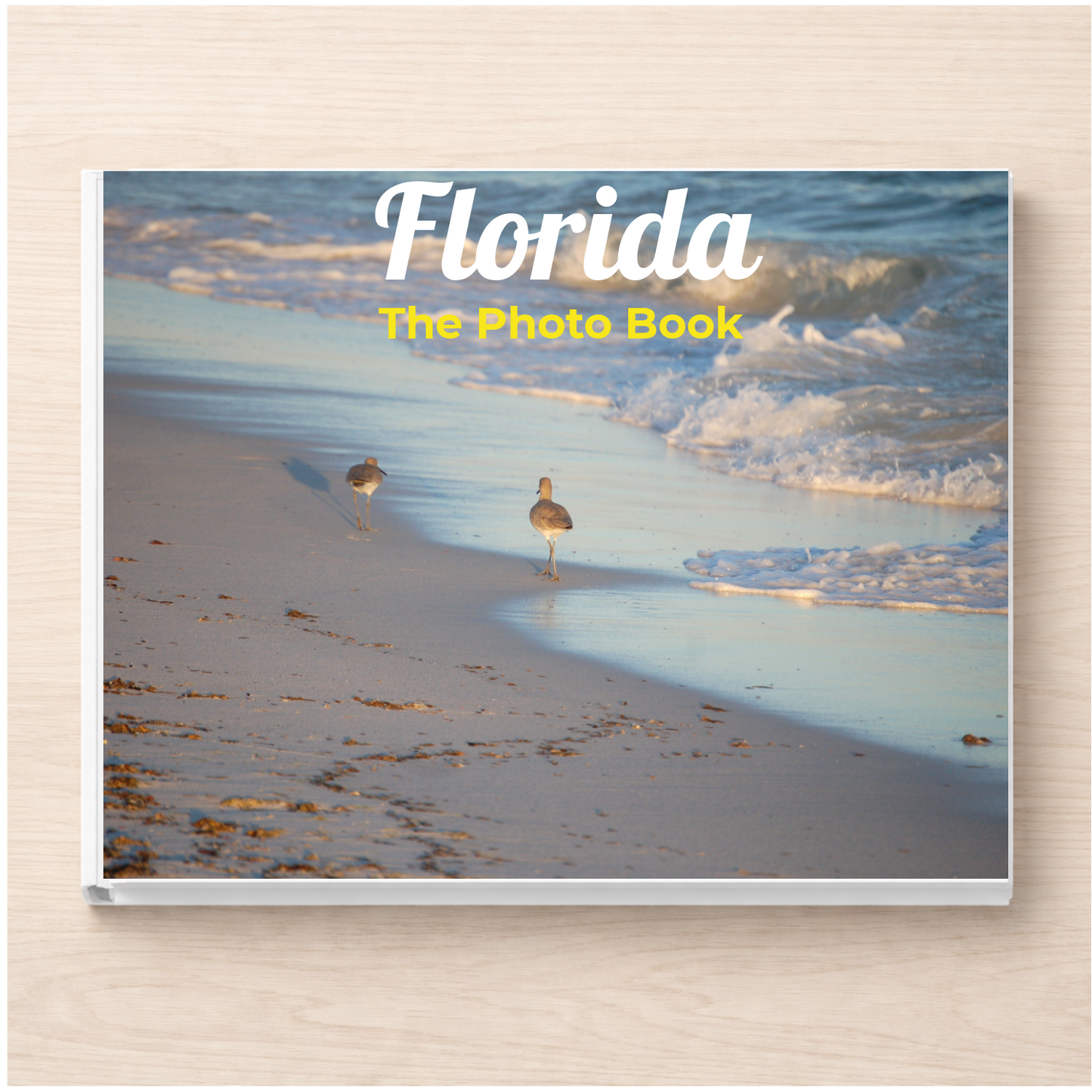 Florida: The Photo Book