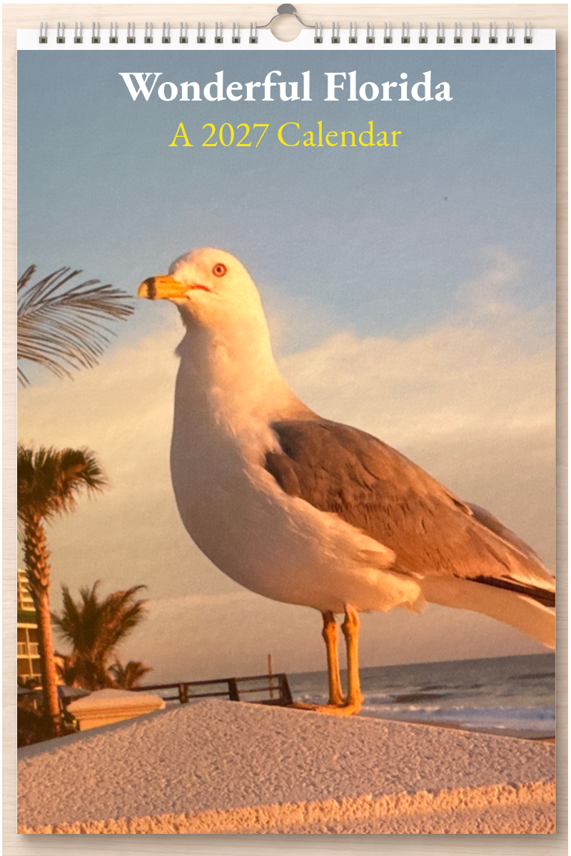 Wonderful Florida: A 2027 Calendar