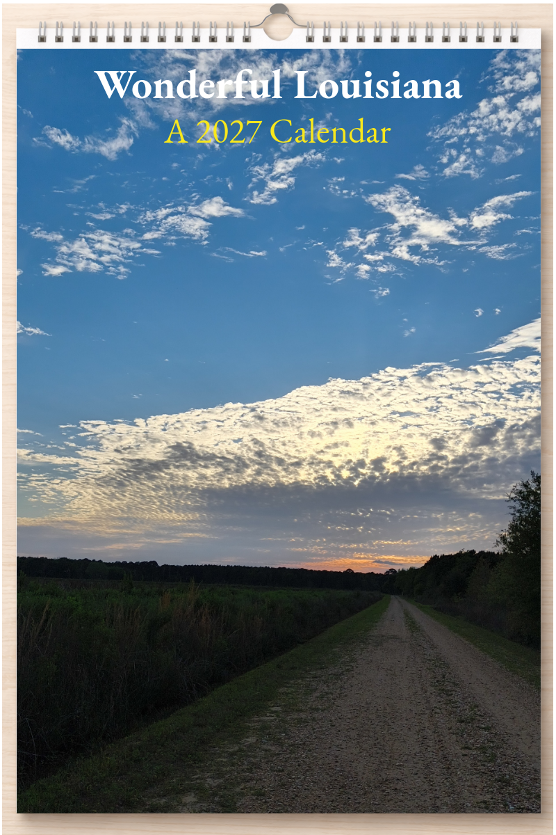 Wonderful Louisiana: A 2027 Calendar