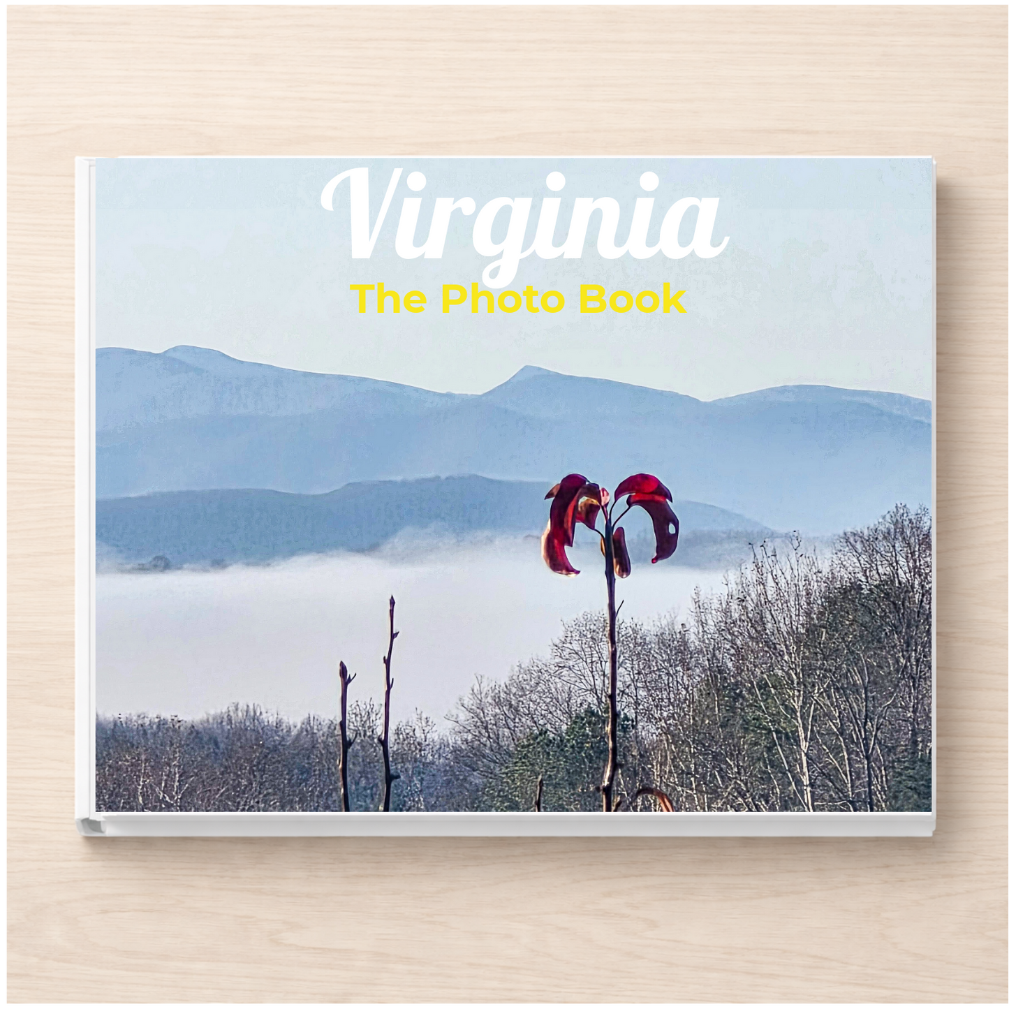 Virginia: The Photo Book