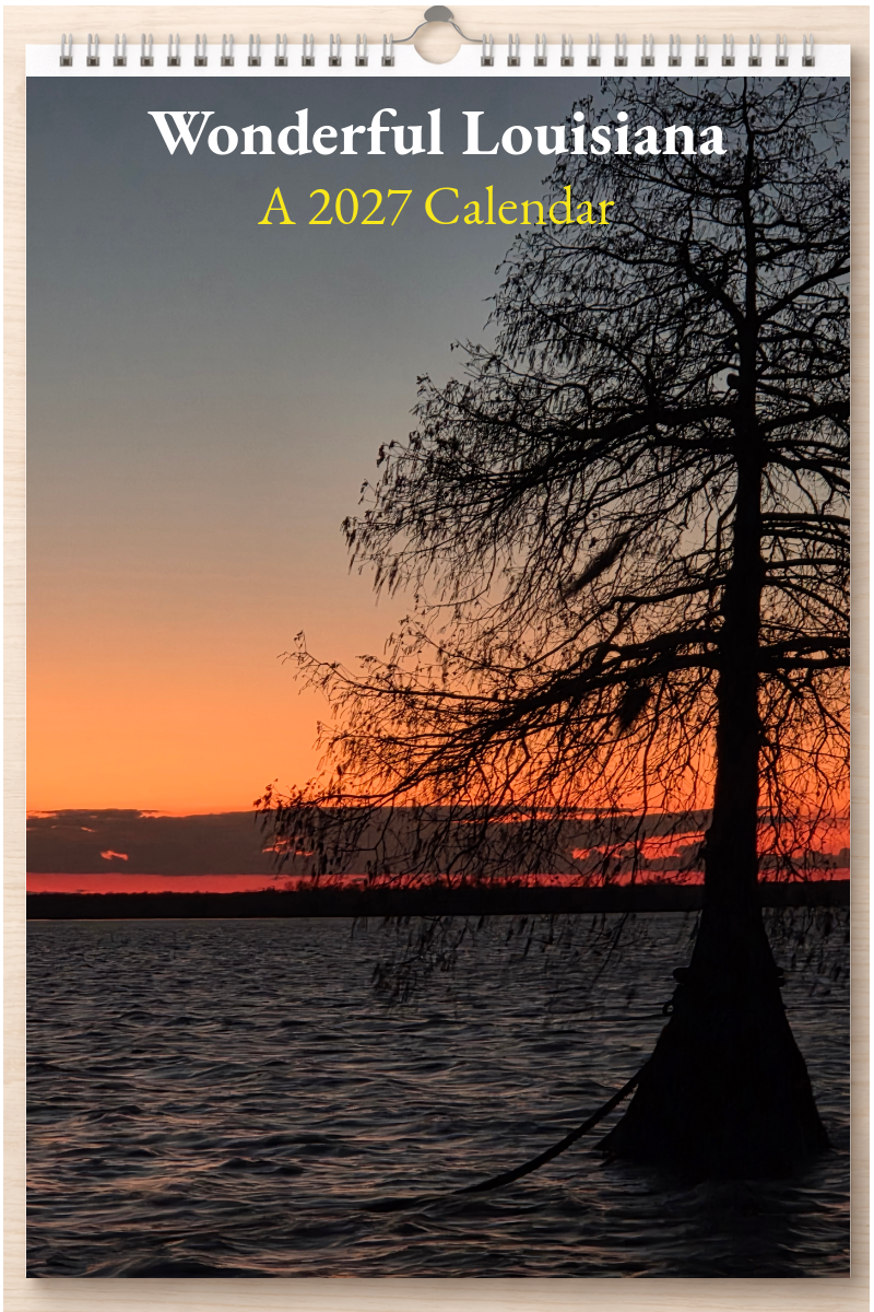 Wonderful Louisiana: A 2027 Calendar