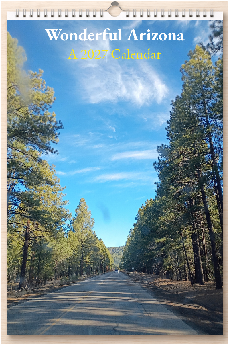 Wonderful Arizona: A 2027 Calendar