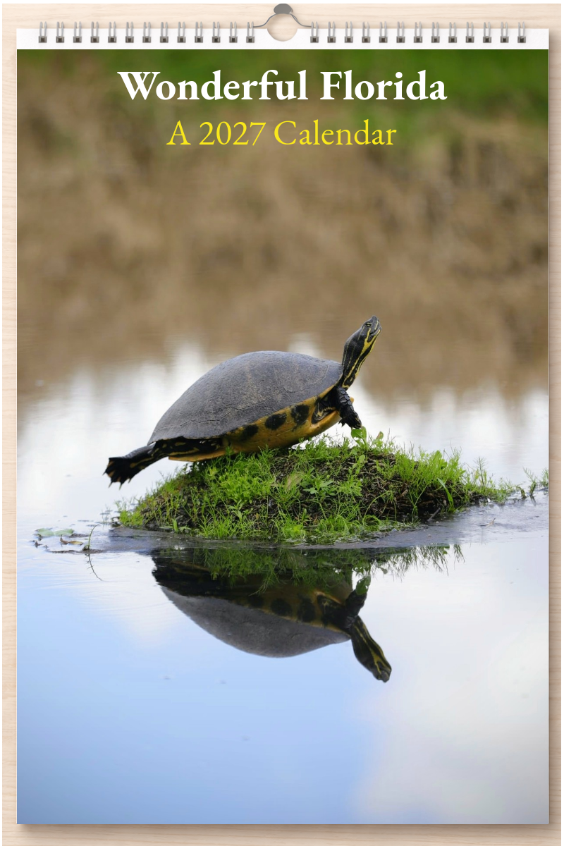 Wonderful Florida: A 2027 Calendar