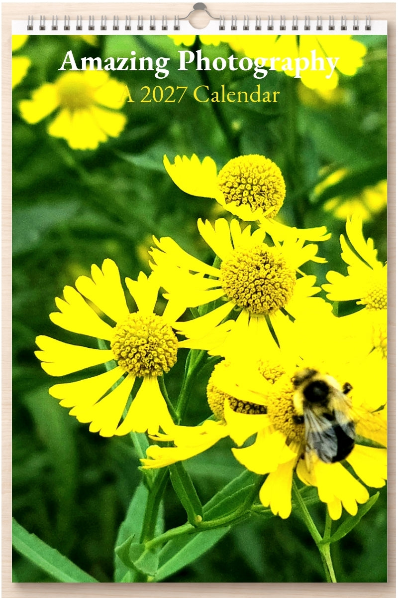 Amazing Photography: A 2027 Calendar