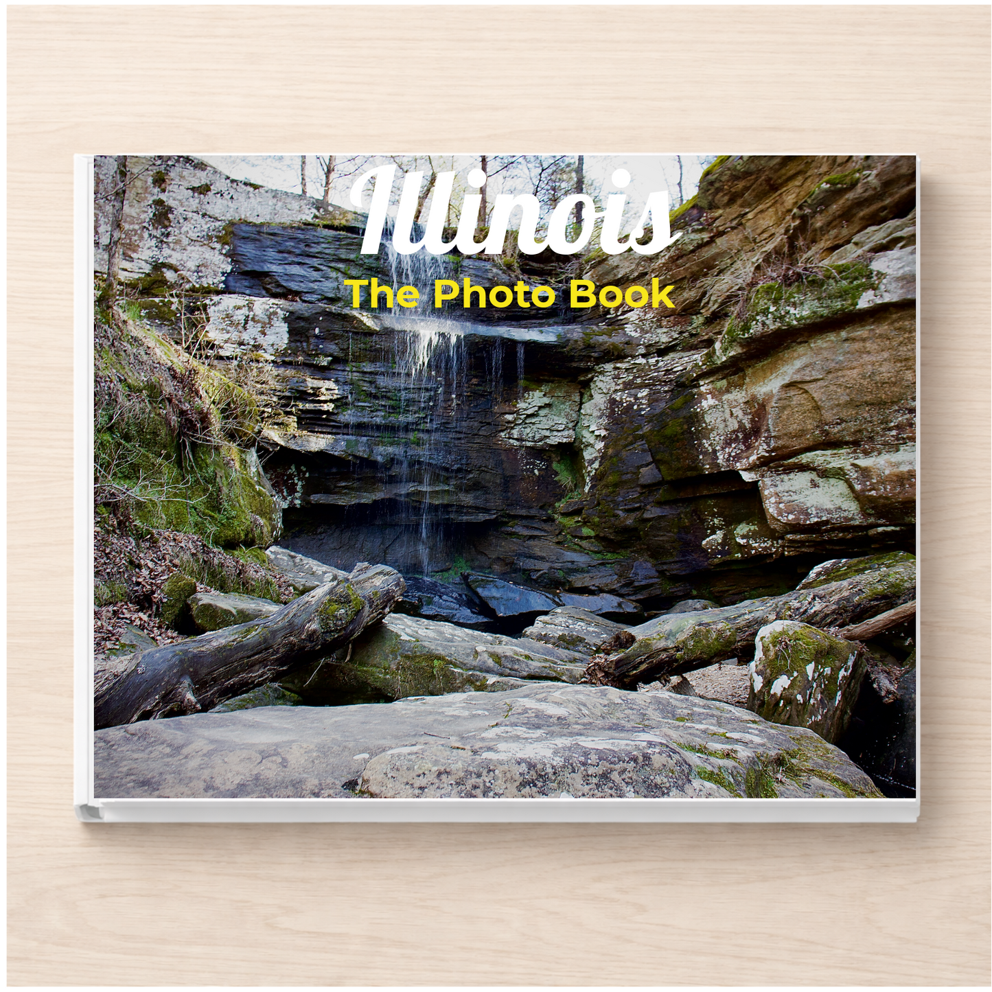 Illinois: The Photo Book